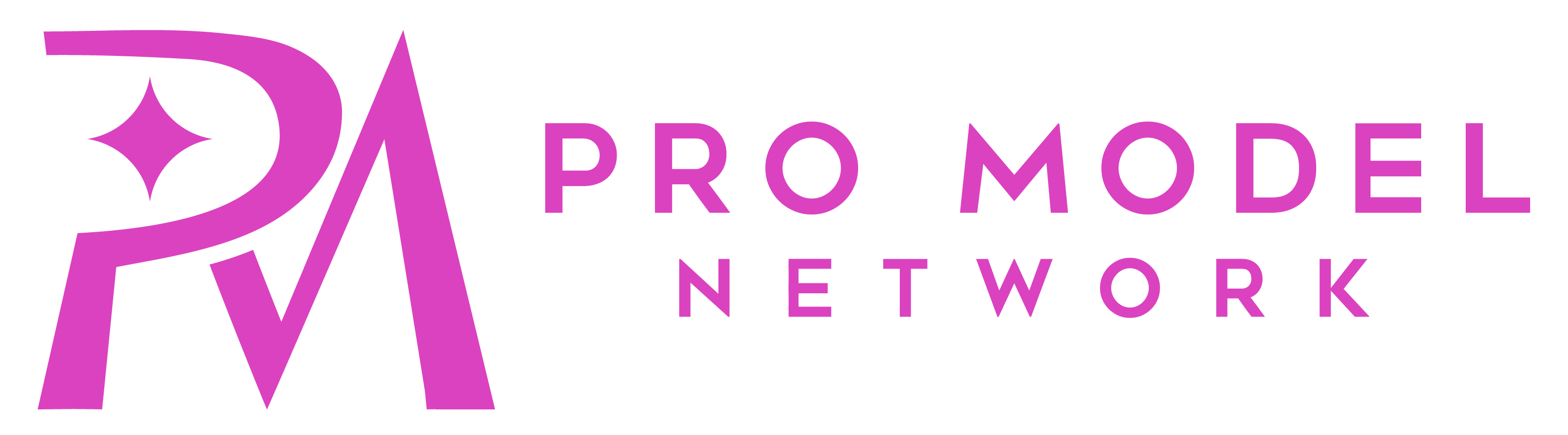 Pro Model Network